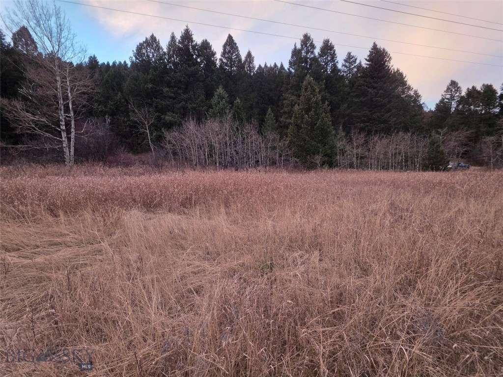 Gallatin Canyon - Land