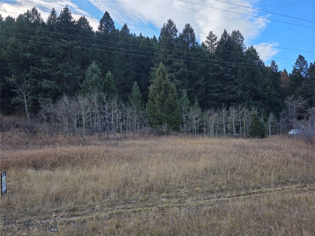 Gallatin Canyon - Land