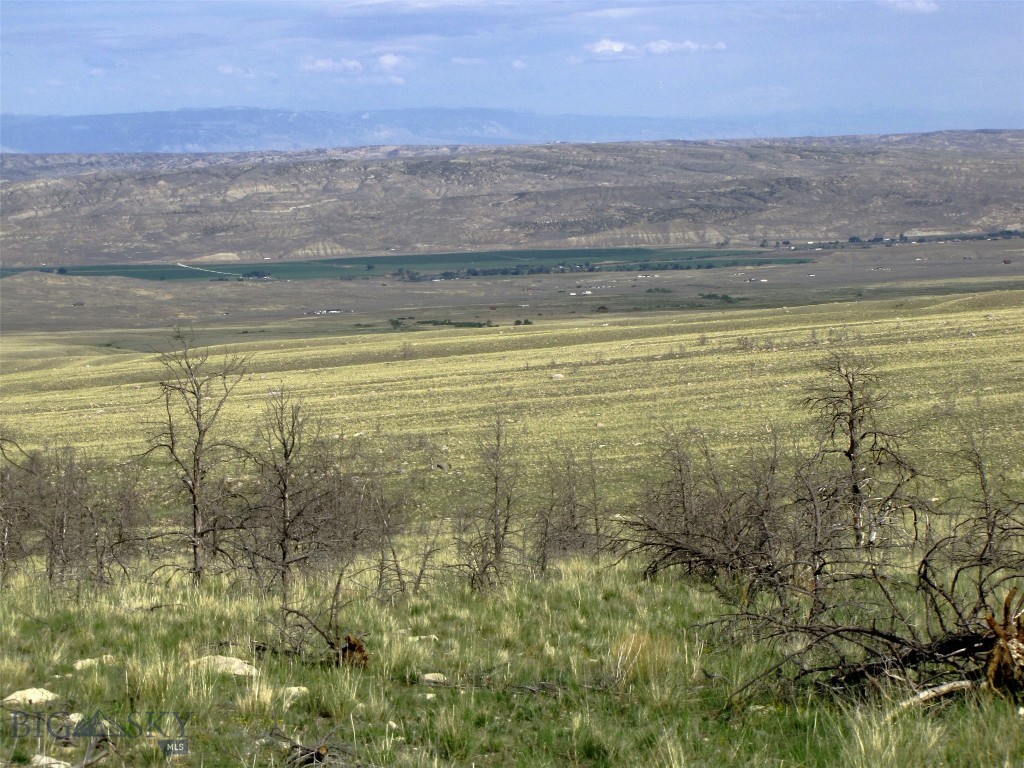Other - Land