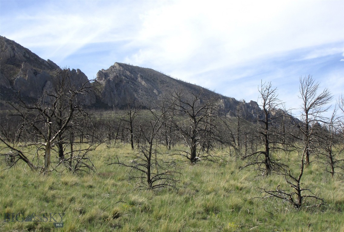 Other - Land