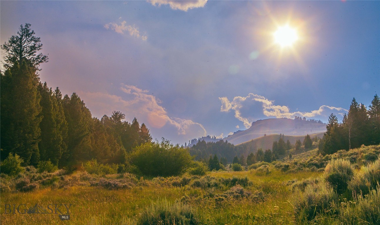 The Elk Canyon Ranch stands out as the best offering currently on the market in Montana, providing  unparalleled quality and unmatched opportunities for discerning elk and big game hunters. This turnkey, top-tier, big game, elk hunting ranch is located in a general hunting district which provides optimal opportunity to hunt both Idaho and Montana. Although nestled in the Beaverhead Mountains and surrounded by endless public land, the Elk Canyon Ranch is NOT OFF GRID and therefore offers power, fiber optics, and water from a spring. In addition, this property includes 2.5+/- miles of Nip and Tuck Creek for trout fishing and four ponds throughout. The 1,273+/- deeded acres are a mix of timber and pasture and not under a Conservation Easement! A short 30+/- minute drive will find you at the Lemhi River in ID or Clark Canyon Reservoir in MT -- the origin of the Beaverhead River and end of the Red Rock River. A 40+/- minute drive will find you in the ghost town of Bannack, and an hour drive will find you in Jackson or Elk Horn Hot Springs. Travel less than a half hour to Leadore, ID for basic amenities or 50+/- minutes to Dillon, MT for more! End-of-road privacy, plentiful water, abundant feed sources, and public land make this the ultimate elk hunting property. It is the supreme privacy of the Elk Canyon Ranch that truly separates this ranch from the pack.