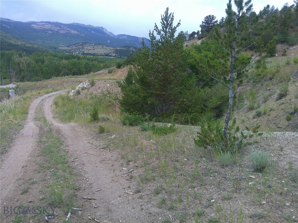 Large undeveloped parcel accessible from Washoe Park Road with city water and electric service nearby.  There are unlimited possibilities and no building restrictions on this property.