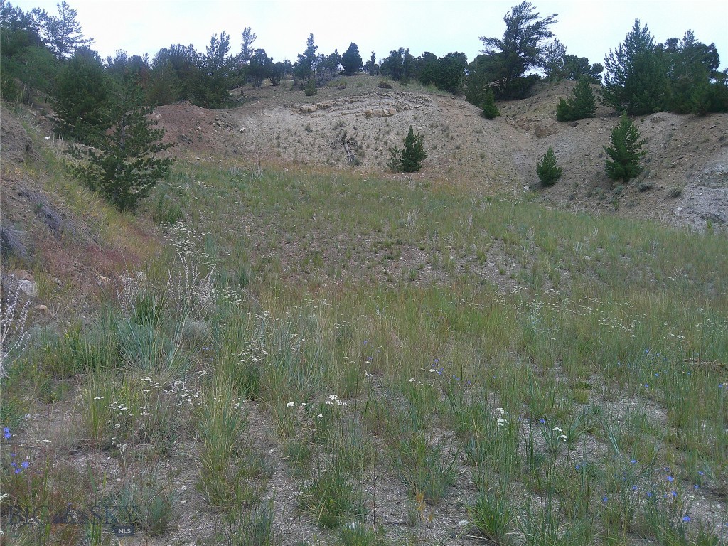 Other - Land