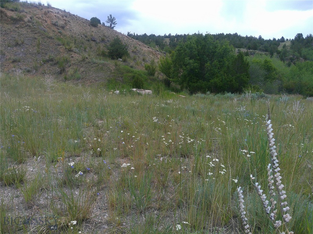 Other - Land