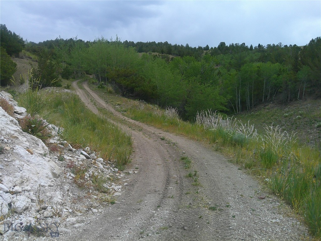 Other - Land