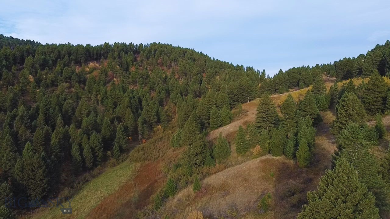 Welcome to your piece of Paradise.  Sitting between Park & Gallatin county sits this  230 acres of majestic property awaiting your dreams come to life, whether its building multiple home sites, a hunting lodge, wedding venue or creating your own ideas to enjoy this area filled with wildlife  is a dream with endless possibilities.  This property is the beginning of a new journey to build your legacy.  There are multiple build sites, The property can be divided into smaller parcels.  Elk, Deer, Moose, grouse and more abound this property.   There is harvestable timber available as well. There are multiple water rights available as well!