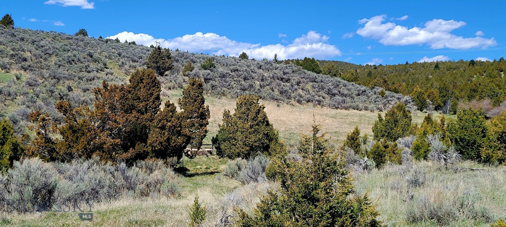 This property offering has the desired privacy, quiet and views the embodies the  Big Sky in Montana.  This 160-acre property, features trees, springs, and rolling hillsides that provide spectacular panoramic views of the Alder area valley and surrounding mountain ranges. If you are looking for privacy, this near end-of-road property has only one property beyond its boundaries. Enjoy the tranquility, abundant wildlife, and serene environment.  This property is one where you can sit back and relax.  The access roadway is currently graded dirt road with scheduled improvement with gravel this summer and fall.
Call for more information or to schedule a showing.
