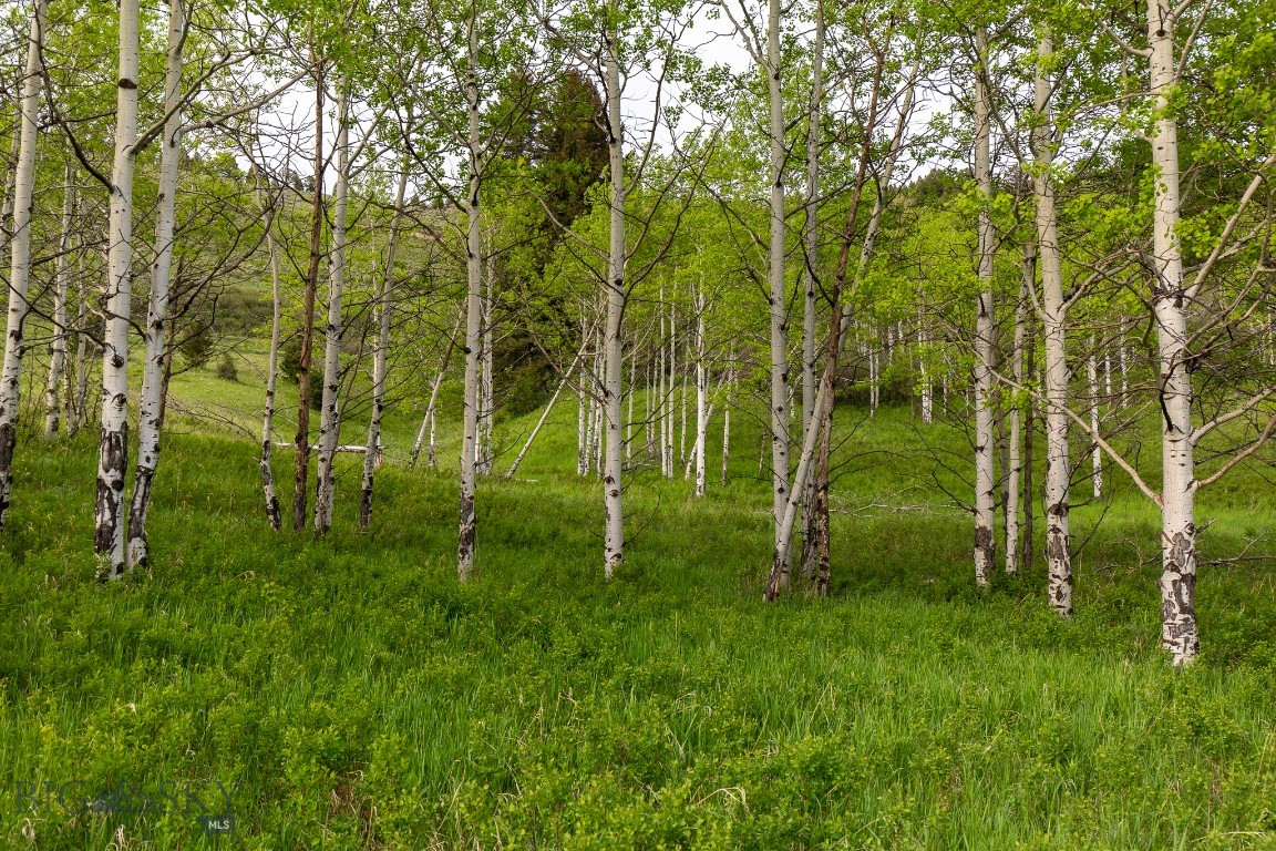 Minor Subdivision - Land