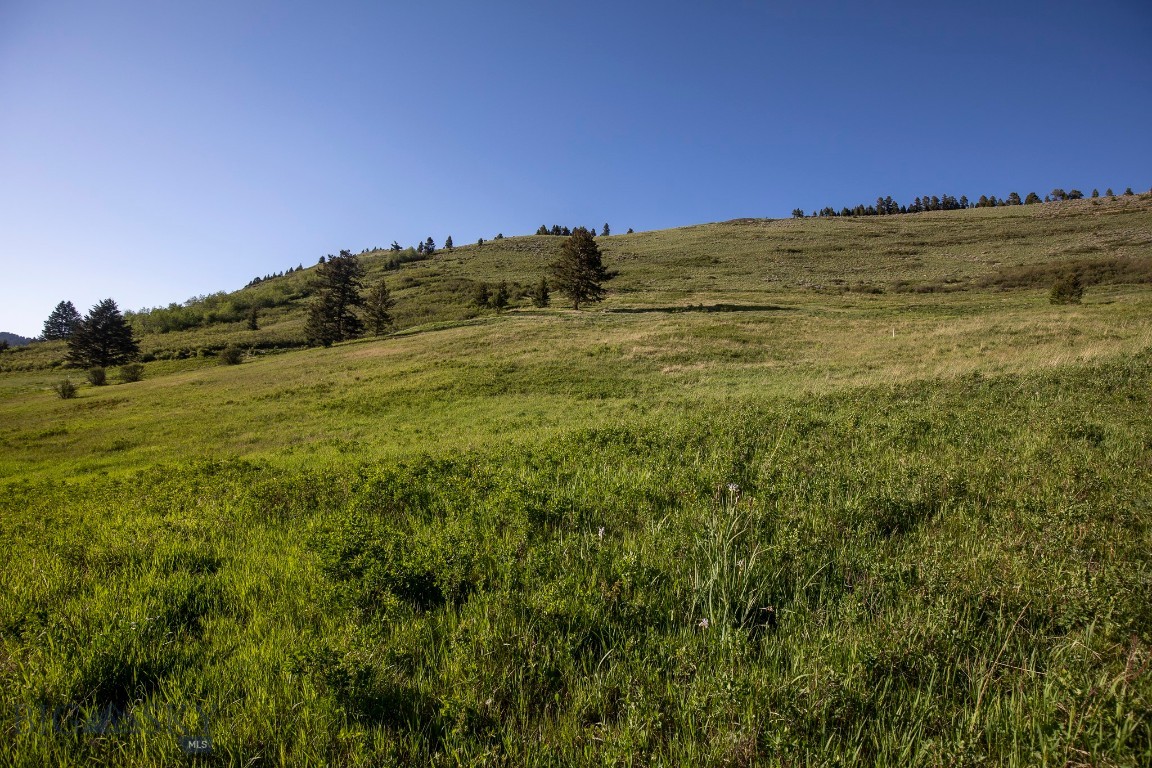 Minor Subdivision - Land