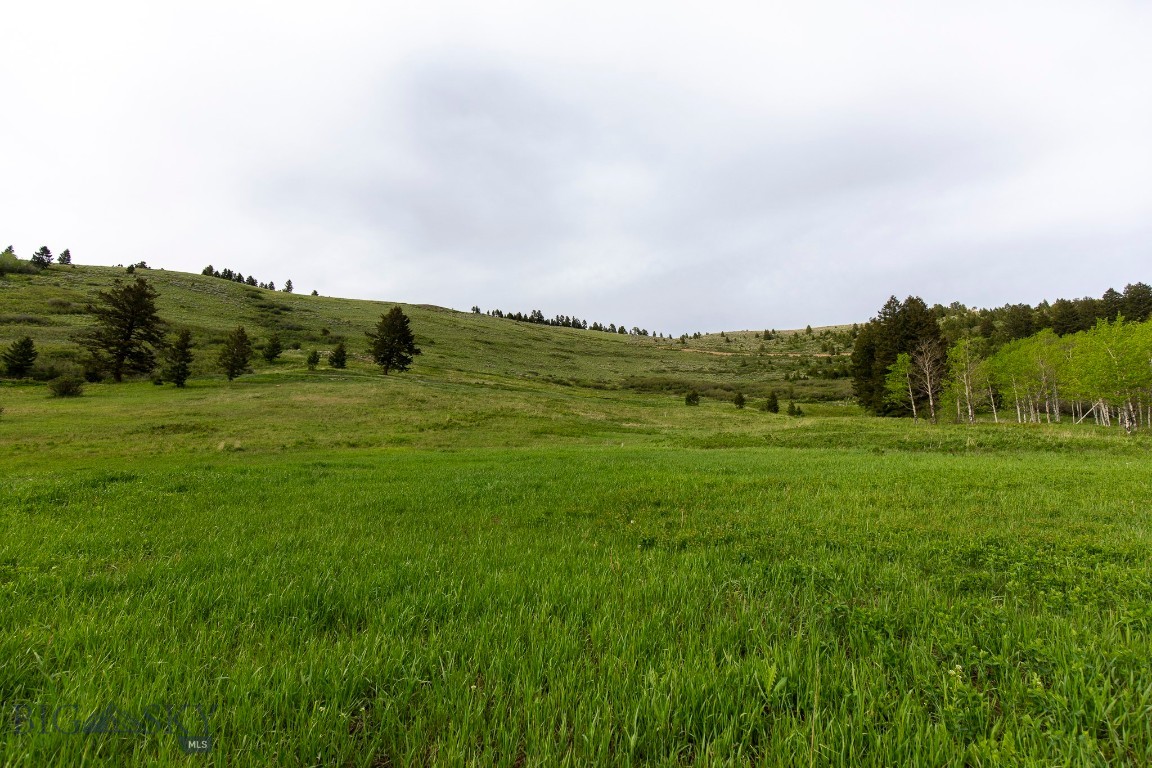 Minor Subdivision - Land
