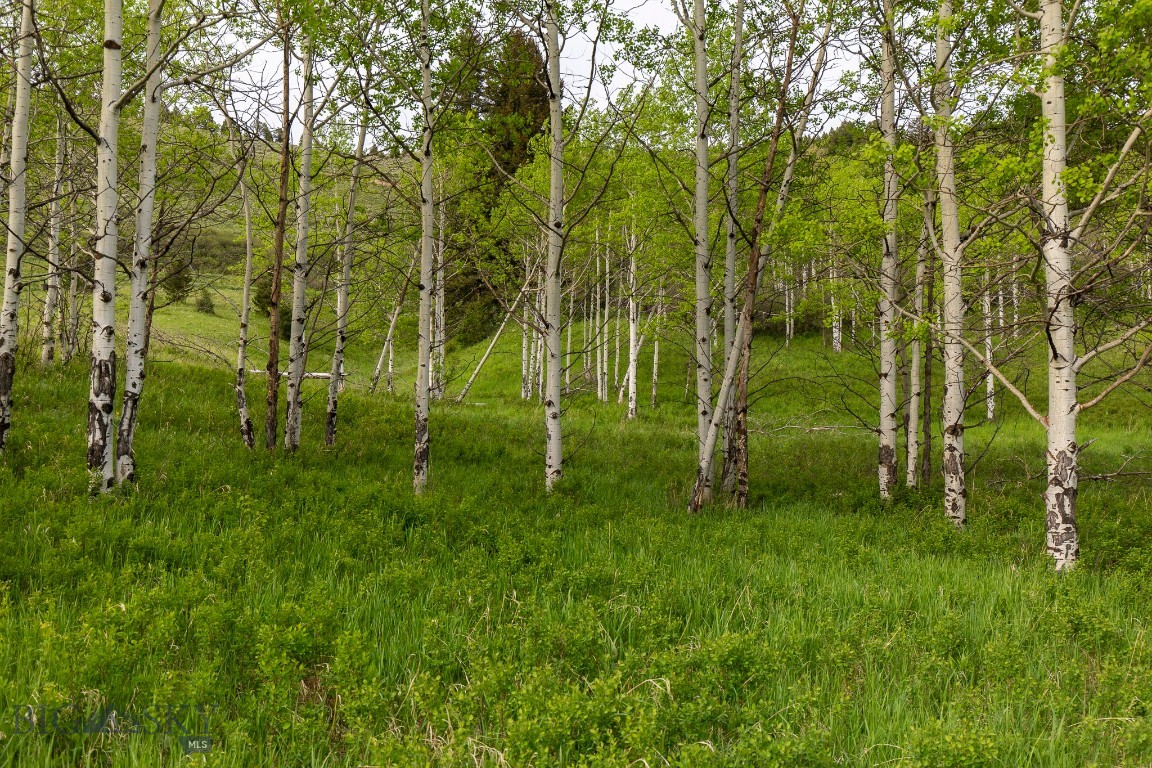 Minor Subdivision - Land