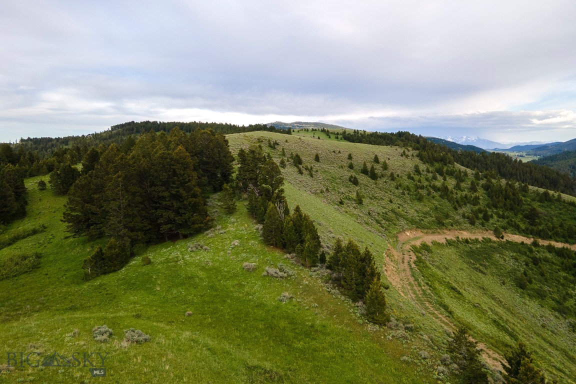 Minor Subdivision - Land