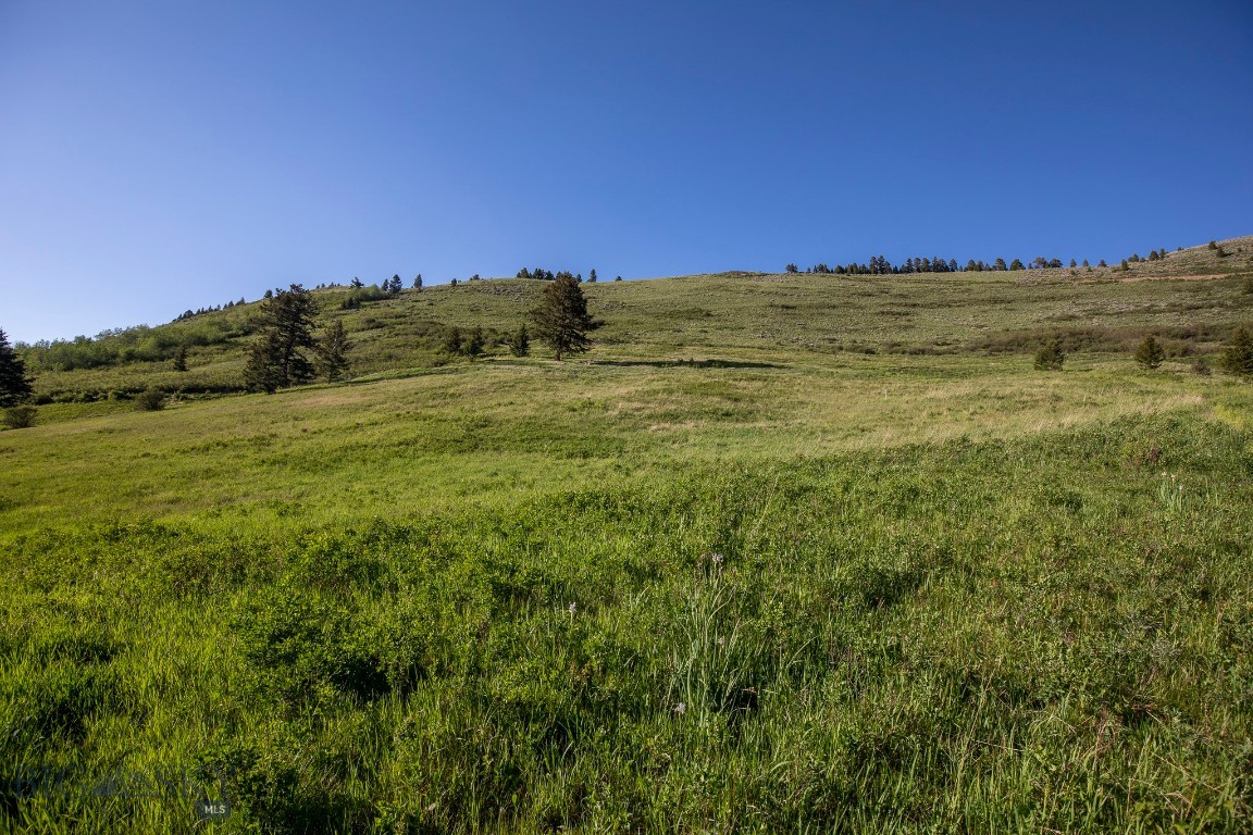 Minor Subdivision - Land