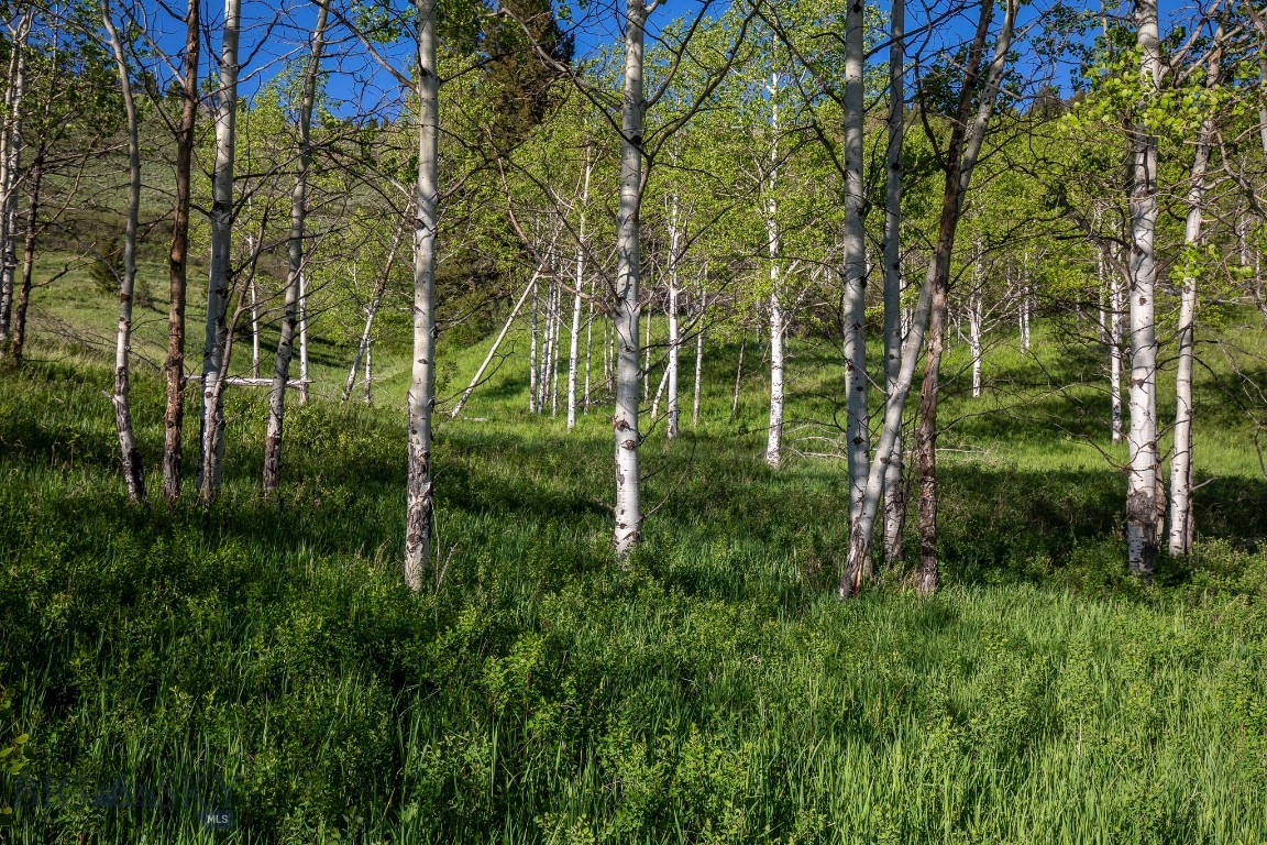 Minor Subdivision - Land
