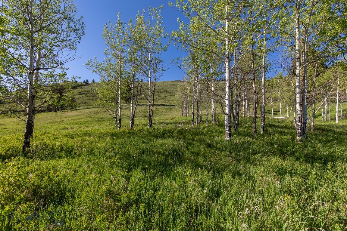Minor Subdivision - Land