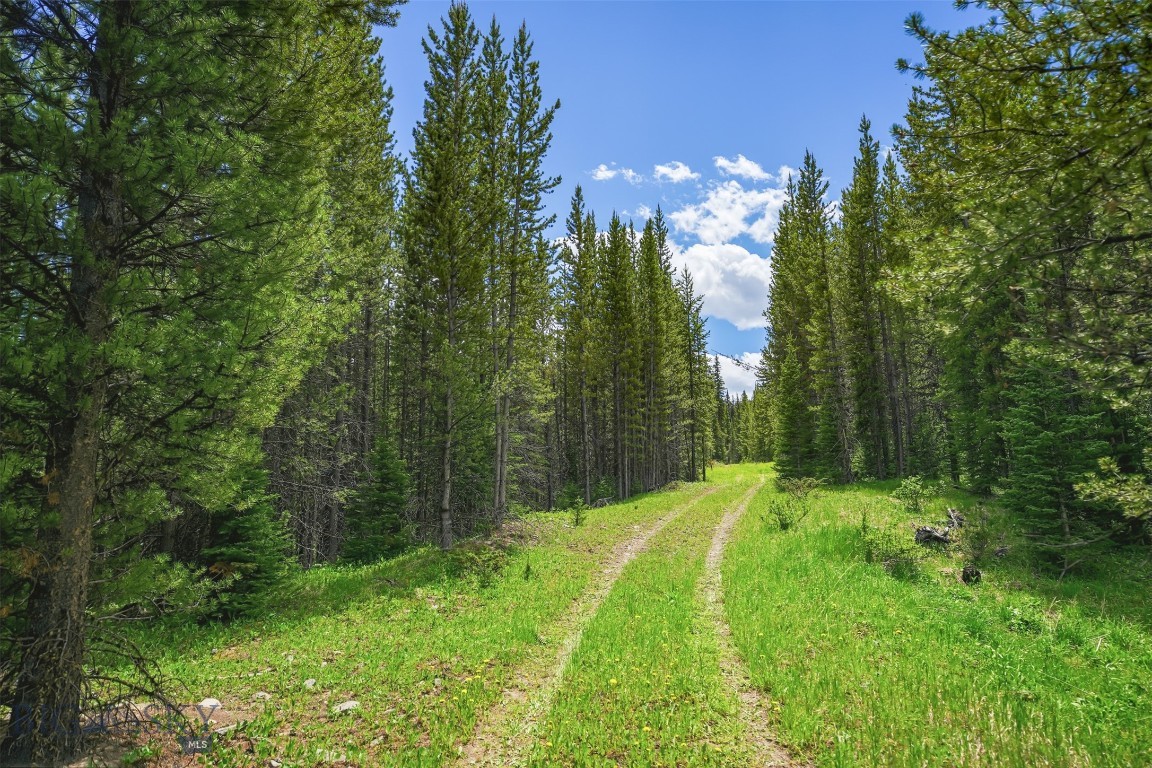 Gallatin Preserve - Land