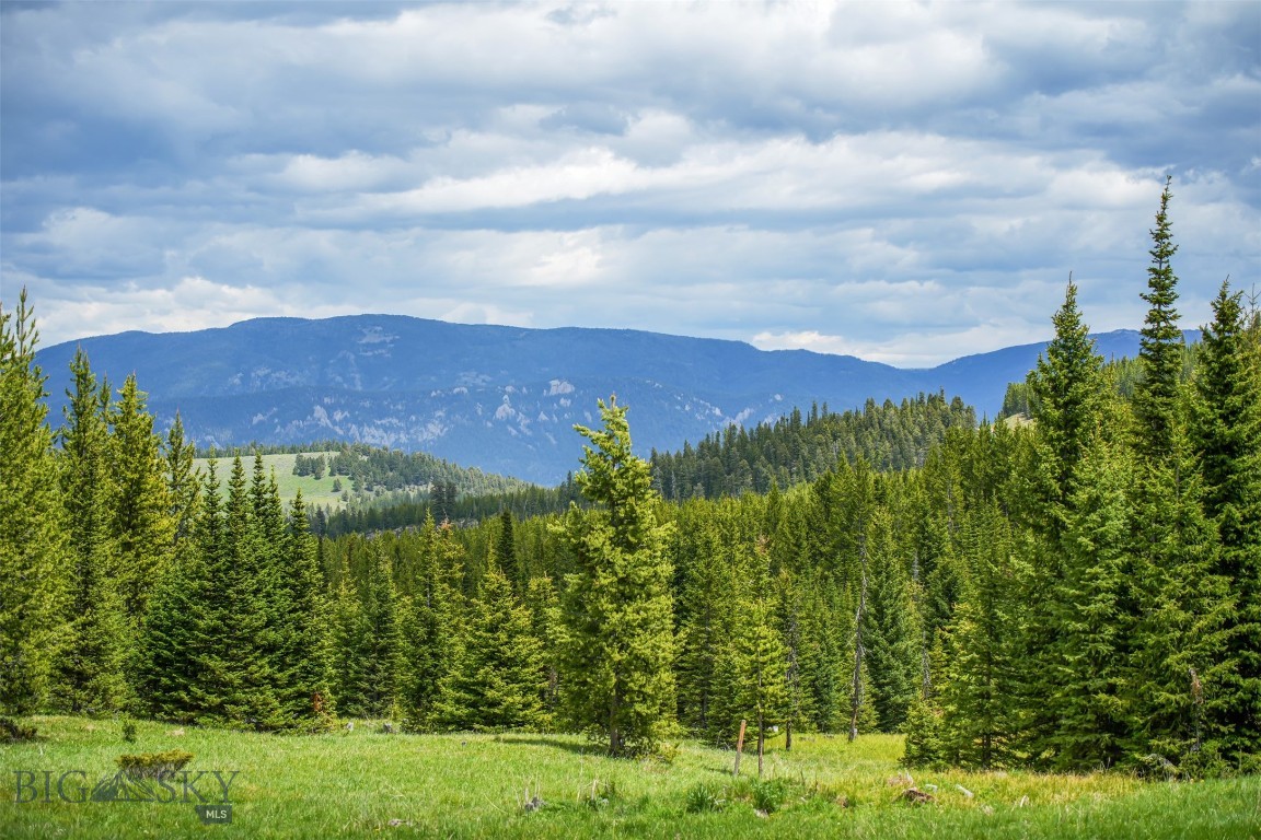 Gallatin Preserve - Land