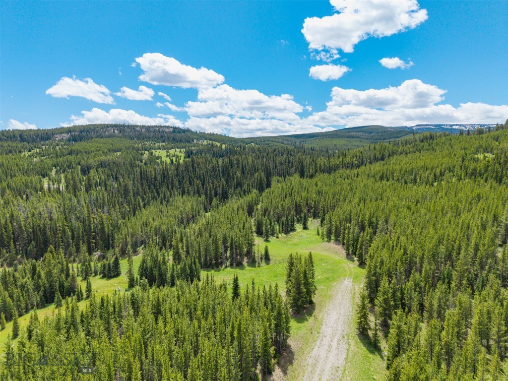 Gallatin Preserve - Land