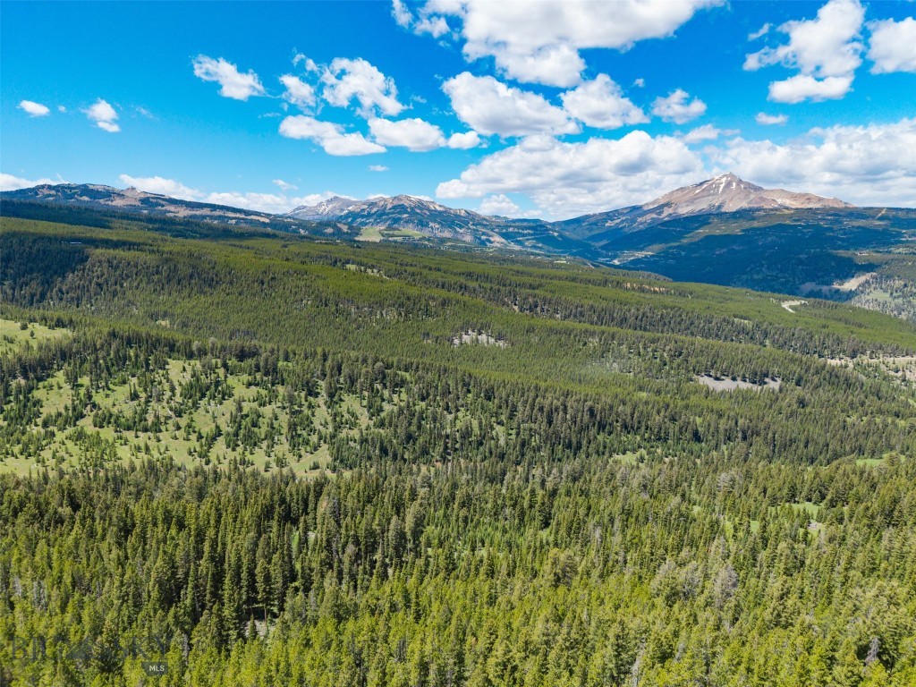 Gallatin Preserve - Land