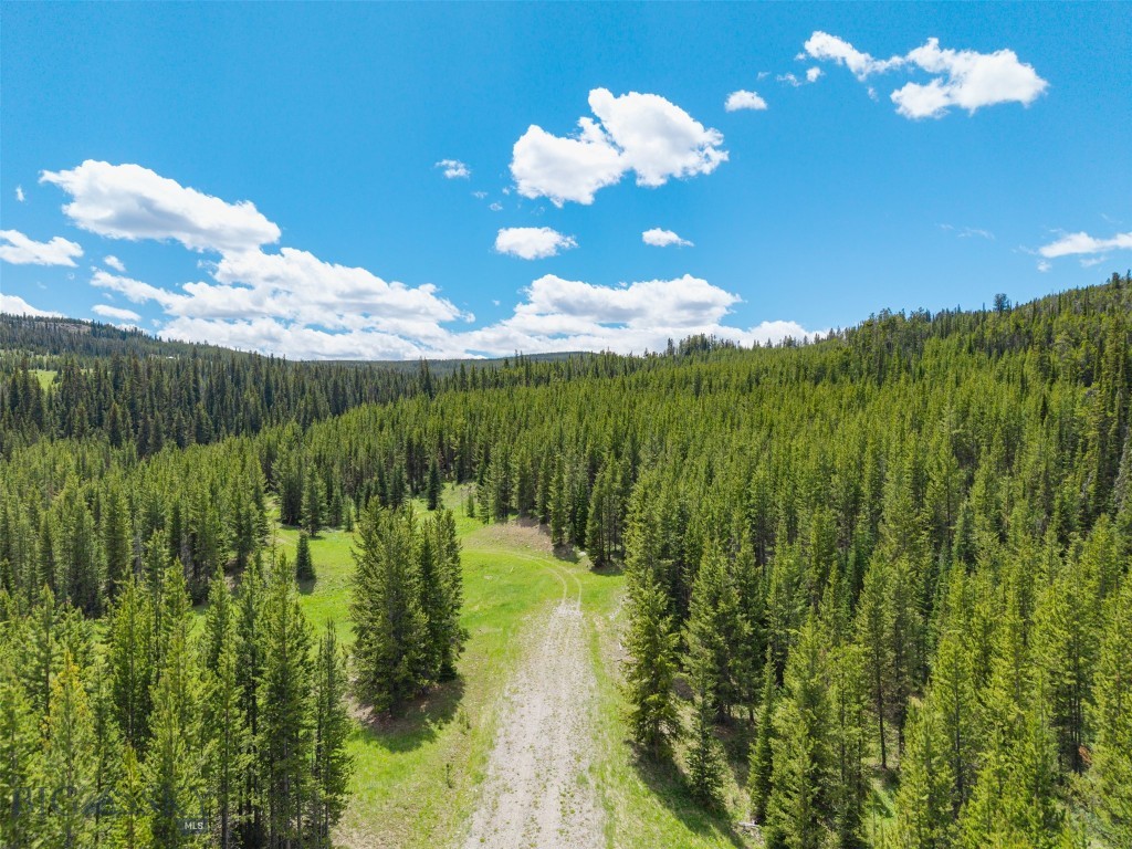 Gallatin Preserve - Land