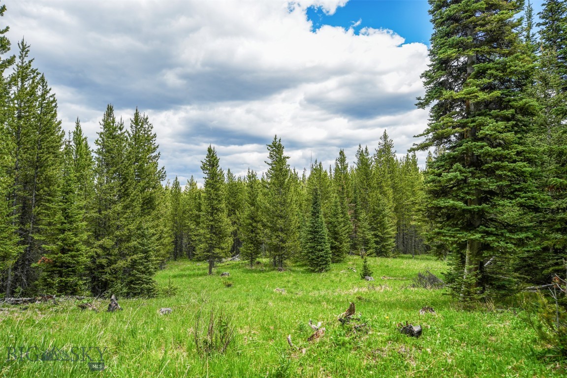 Gallatin Preserve - Land