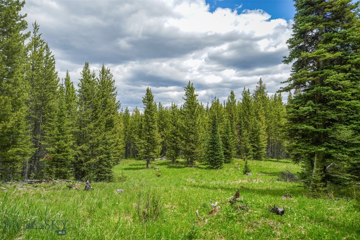 Gallatin Preserve - Land