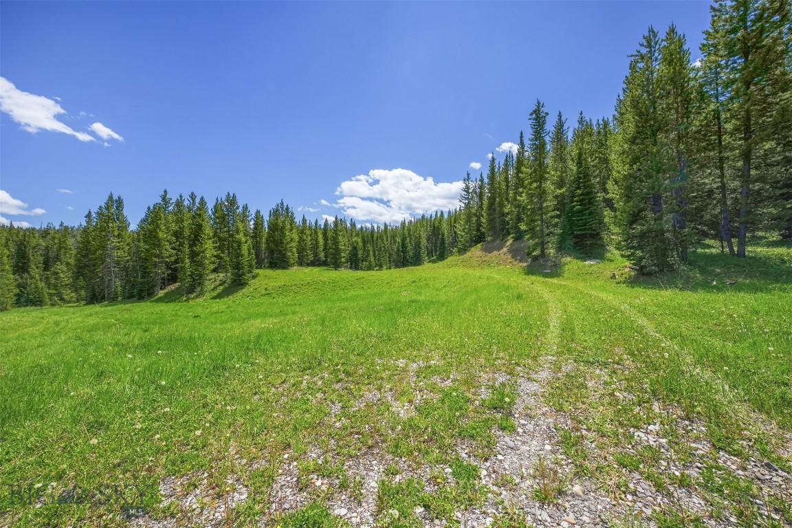 Gallatin Preserve - Land