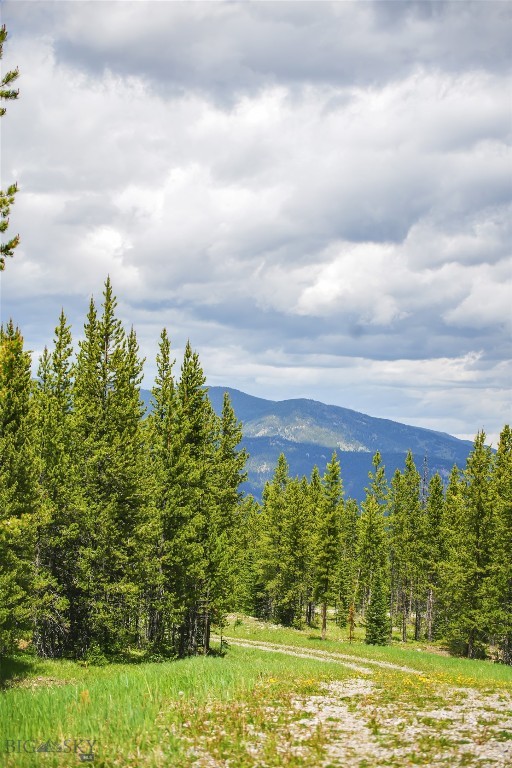Gallatin Preserve - Land