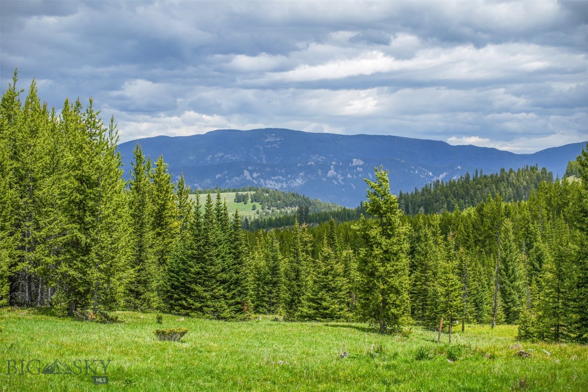 Gallatin Preserve - Land