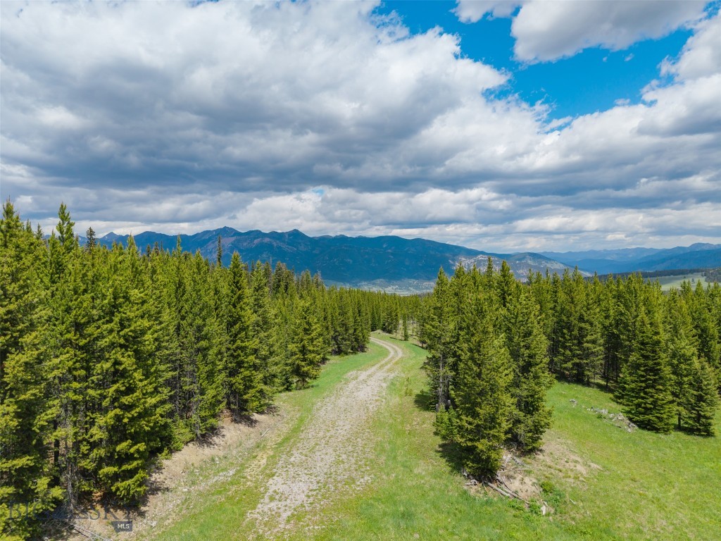 Gallatin Preserve - Land