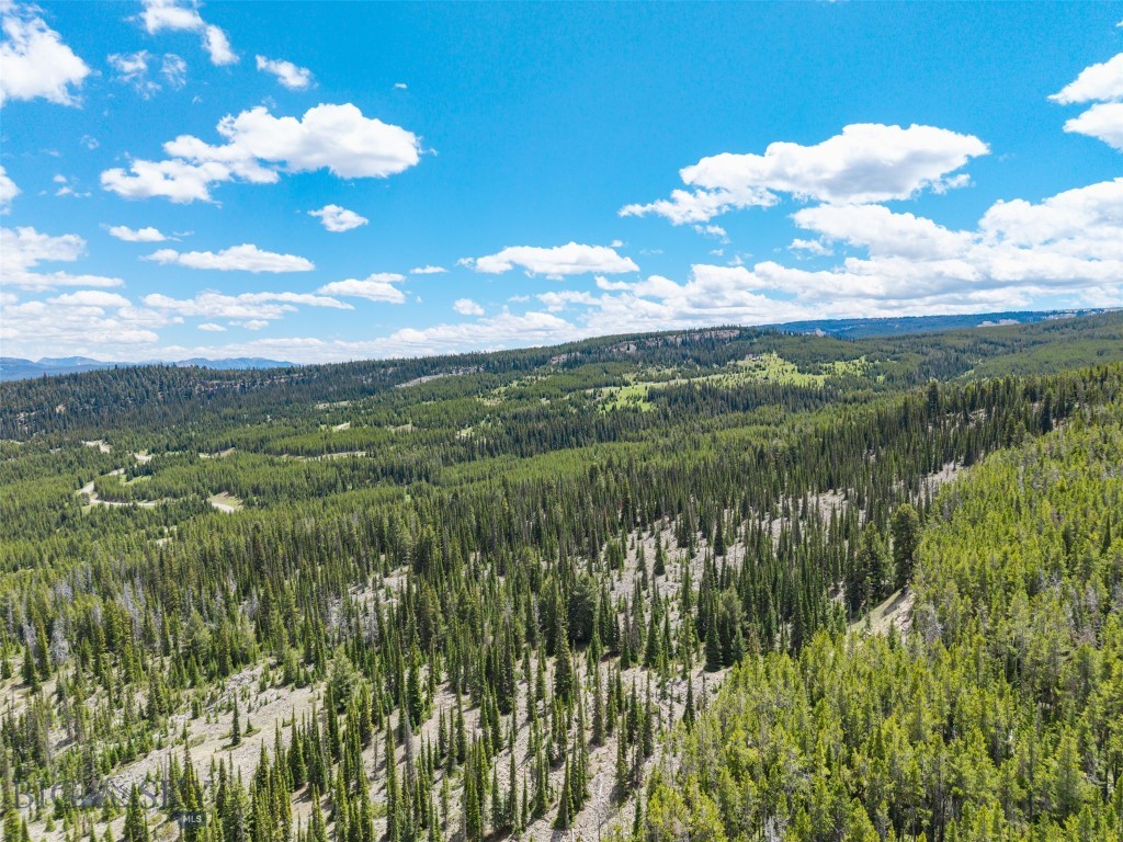 Gallatin Preserve - Land