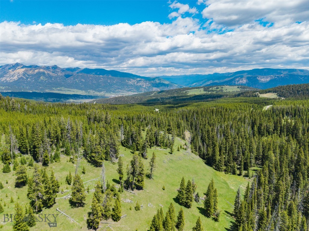 Gallatin Preserve - Land