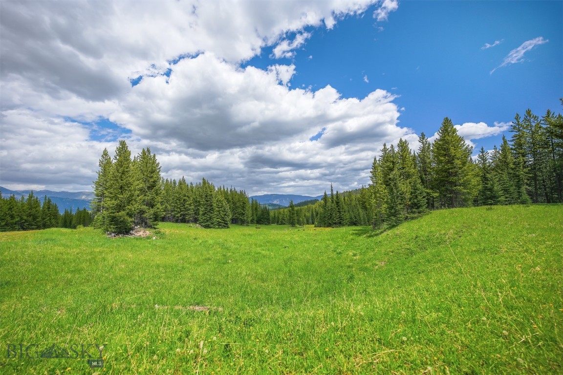 Gallatin Preserve - Land
