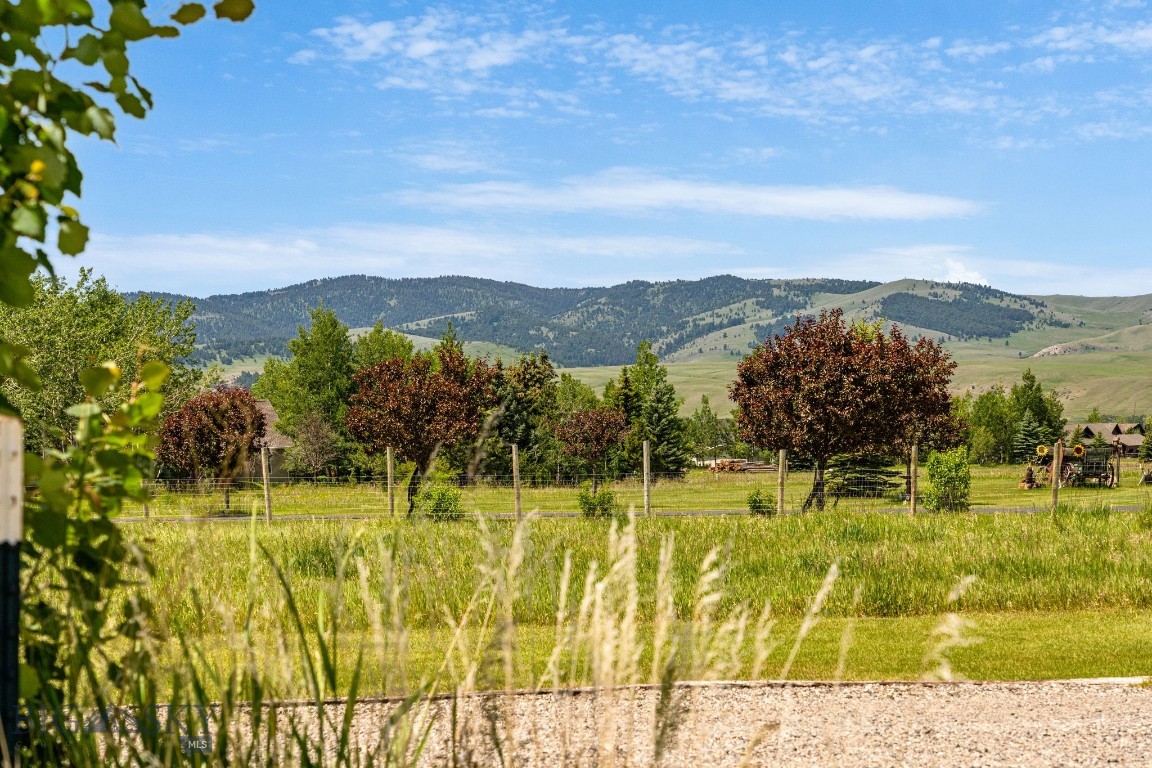 Bear Creek Properties - Residential