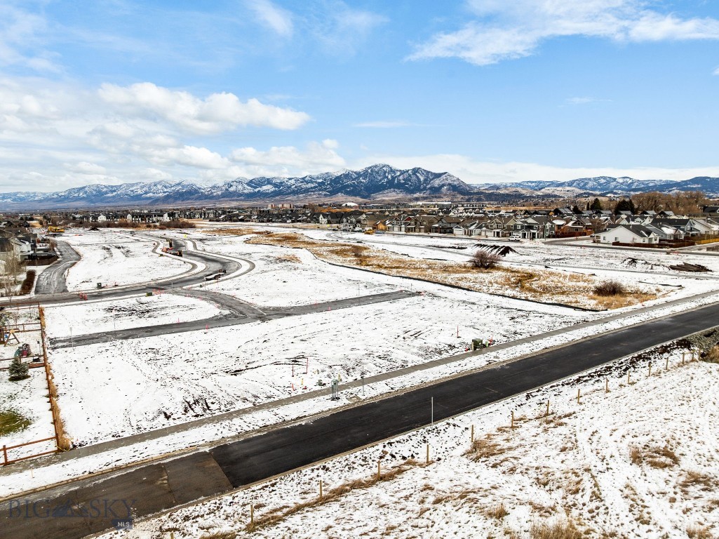 Meadow Bridge - Land