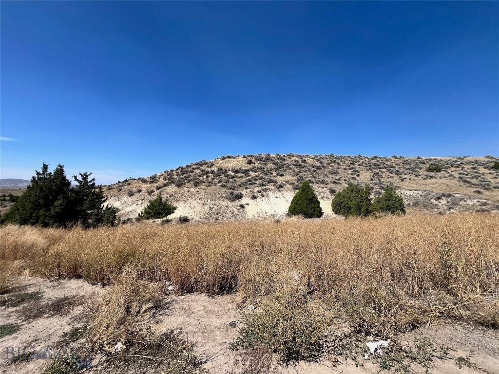 Ponderosa Pines - Land
