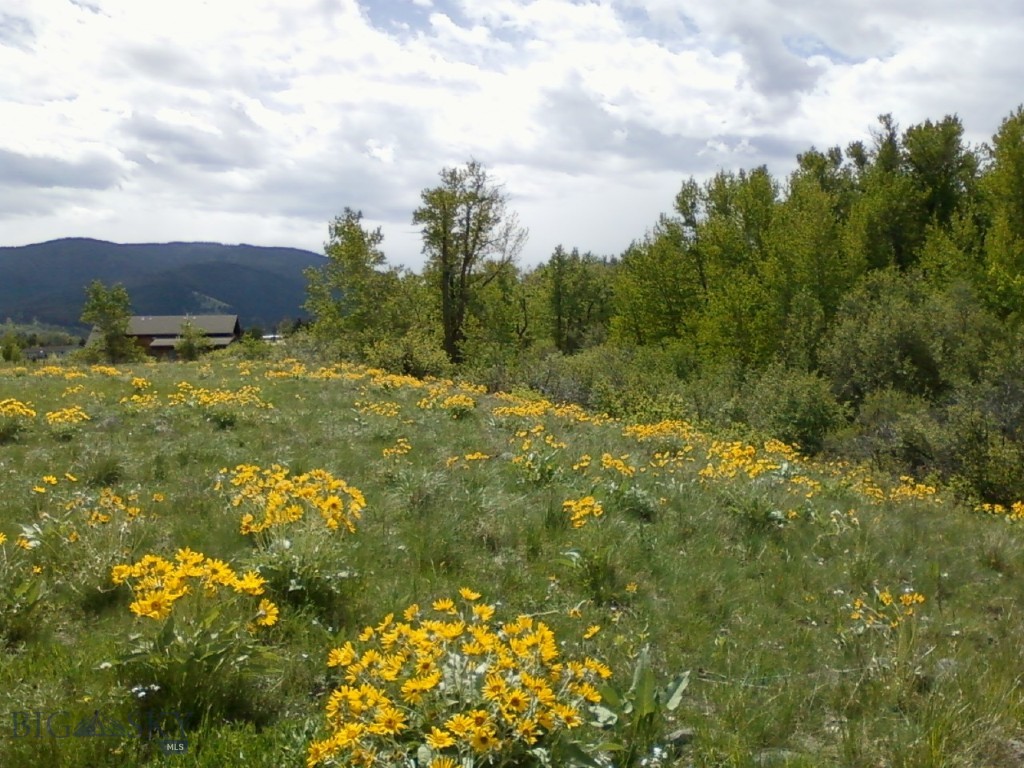 HYALITE CREEK RUNS THROUGH IT (about 600’), 8.2 ACRES; includes 36’ x 36’ barn footprint and corral.  Horse property?  Unique, fall asleep listening to Hyalite Creek during the summer!!!  Close to Hyalite Canyon (U.S. Forest Service land) with abundant summer and winter recreational opportunities.  Nice view of the Bridger Mountains.  End-of-road, ‘cul-de-sac’ property.  Cayuse Trail is gravel; paved roads the rest of the way (about 7 miles) into Bozeman.  Covenants allow a main house and a guest house.  State and county approved (well and septic sites) in 2018 for two home sites.  Electricity is close to and natural gas is at north boundary of property.  Possible owner financing.
