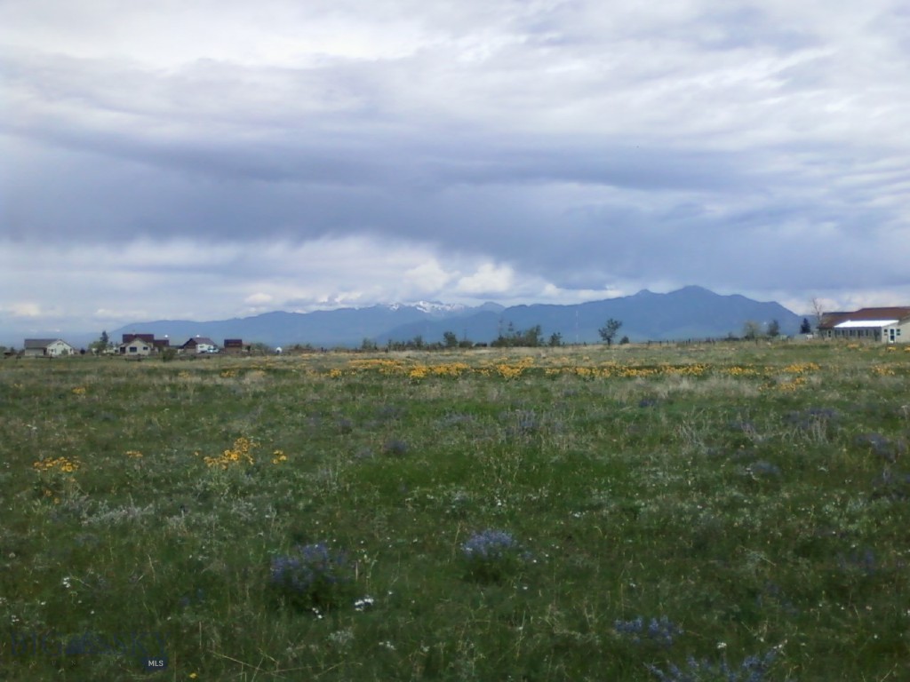 Cayuse Trail - Land