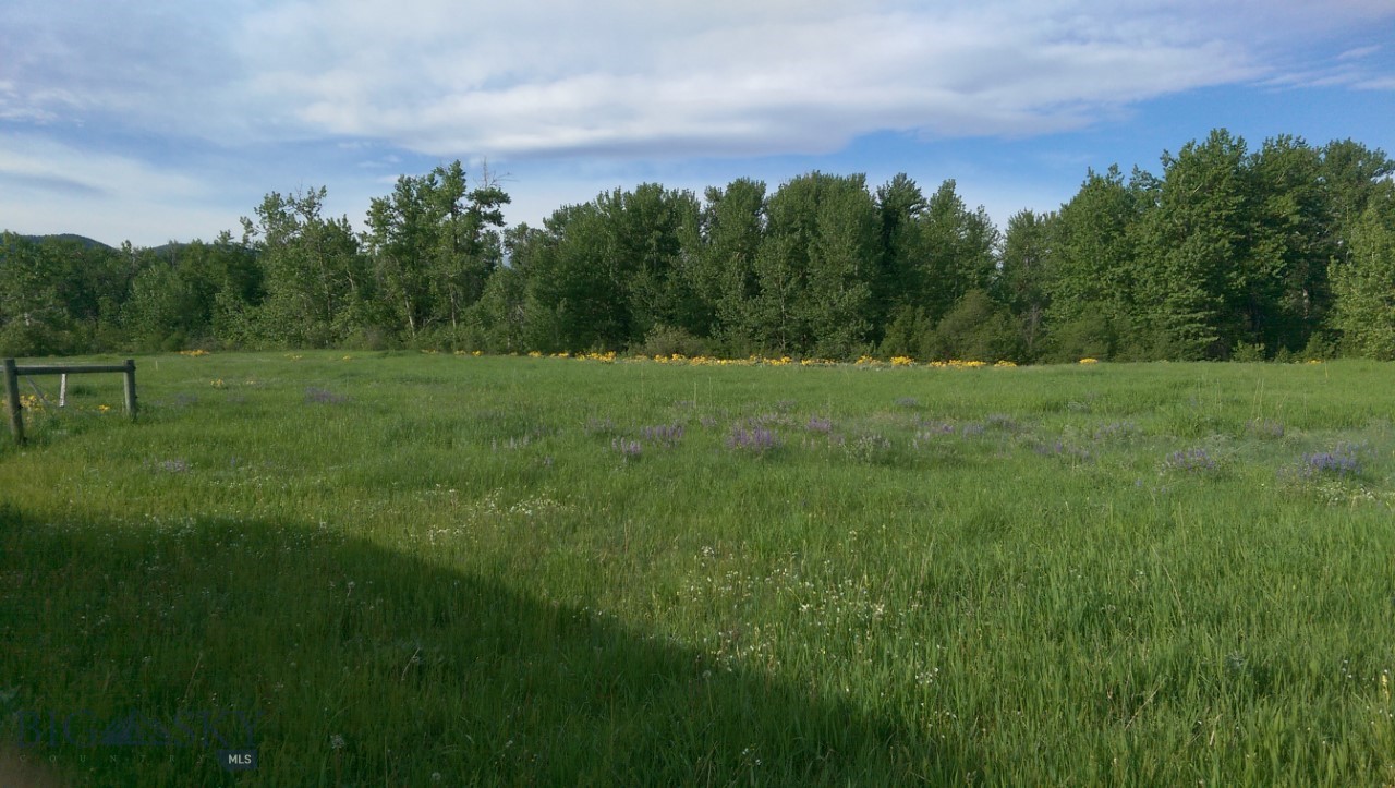 Cayuse Trail - Land
