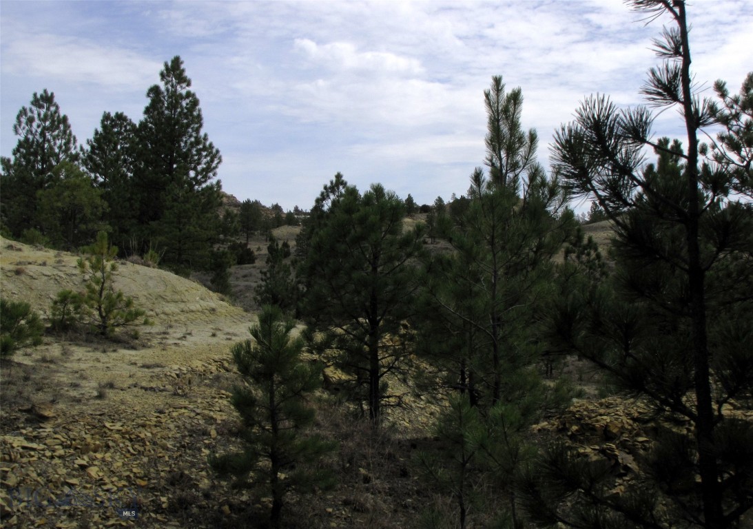 Other - Land