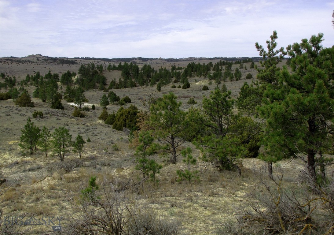 Other - Land