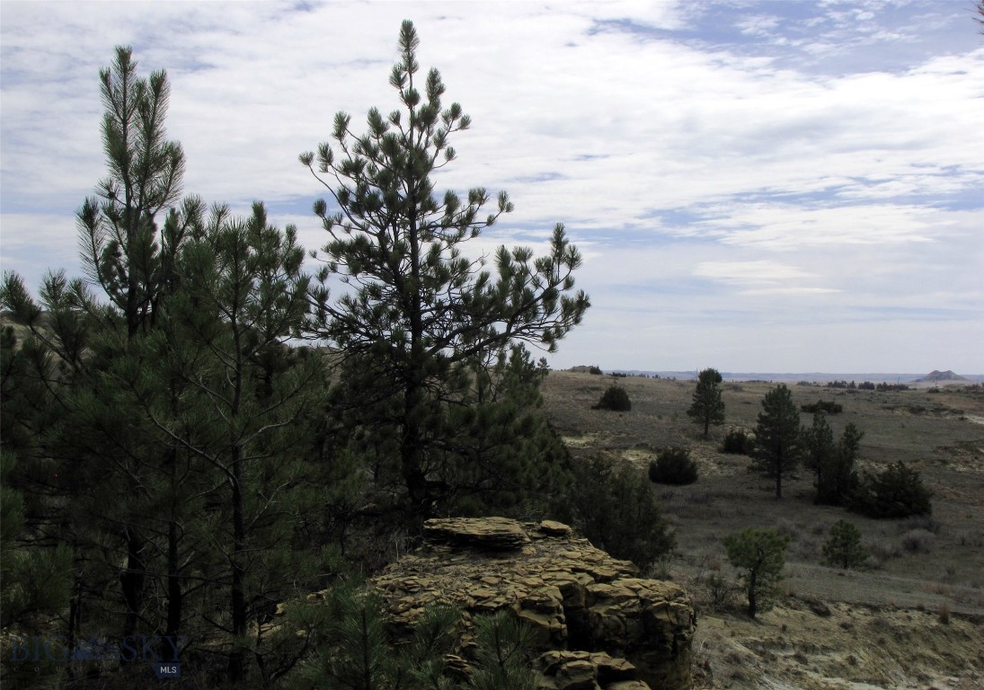 Other - Land