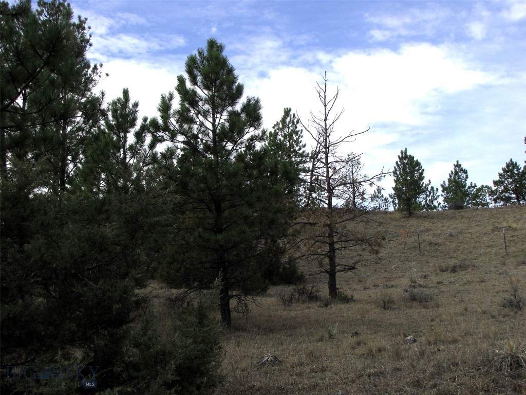 Other - Land