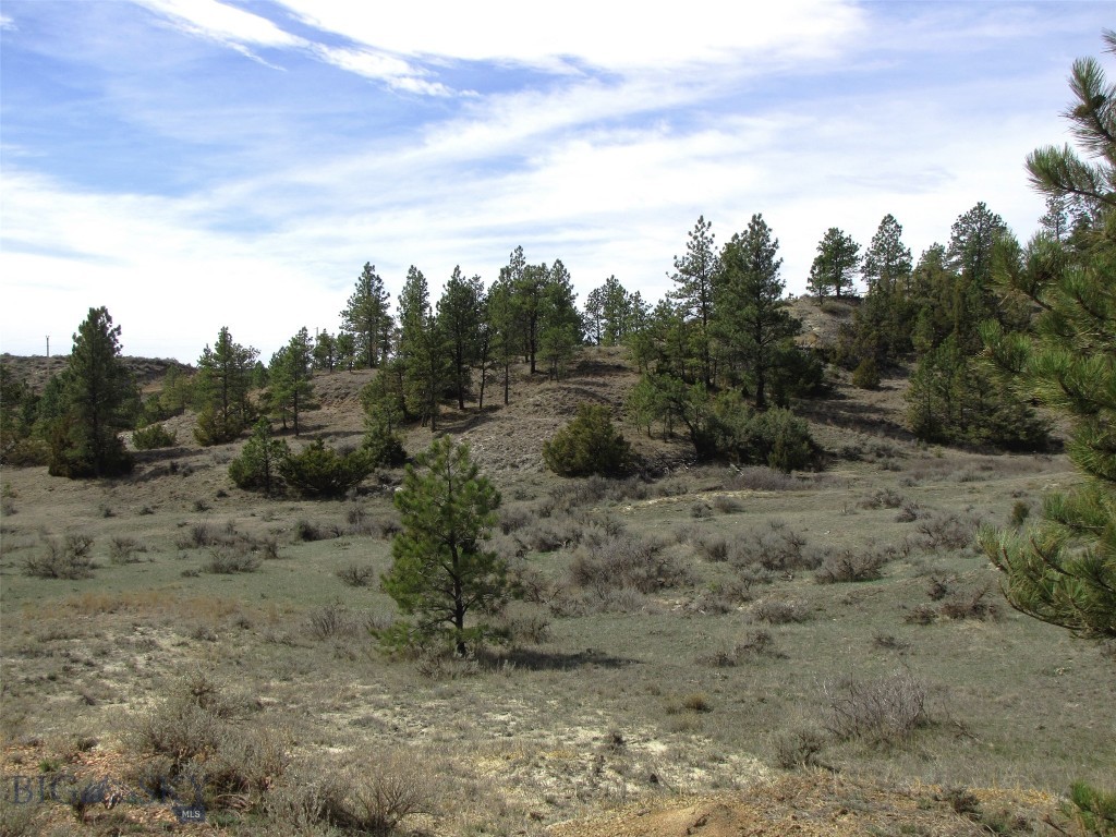Other - Land
