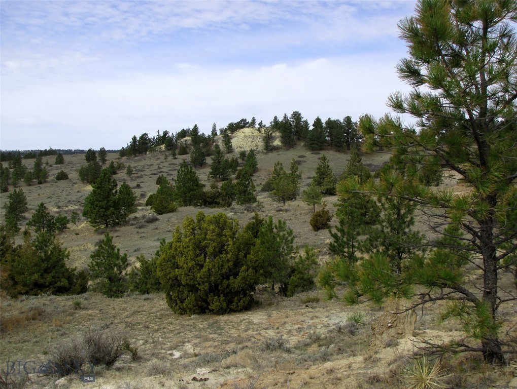 Other - Land