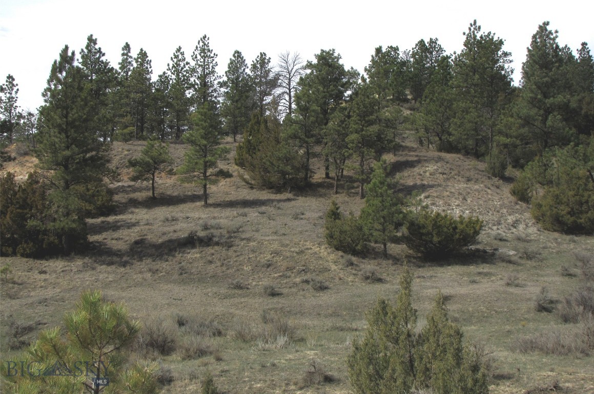 Other - Land