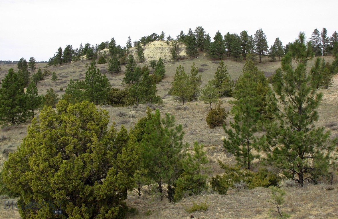 Other - Land