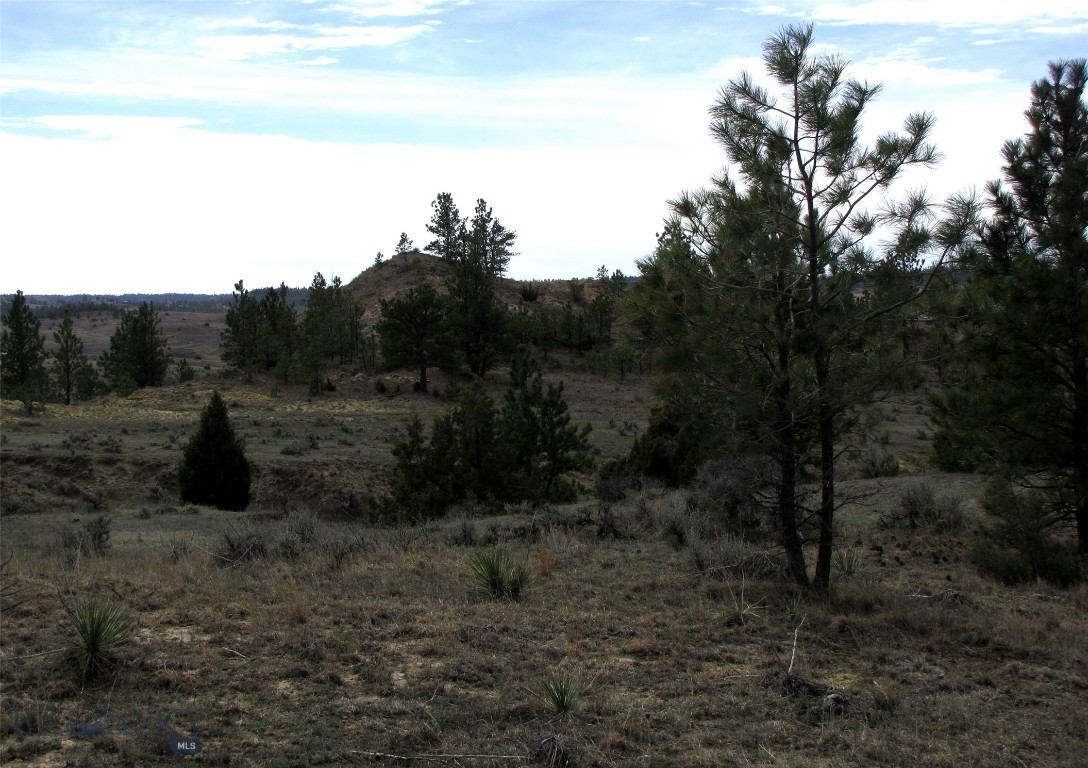 Other - Land