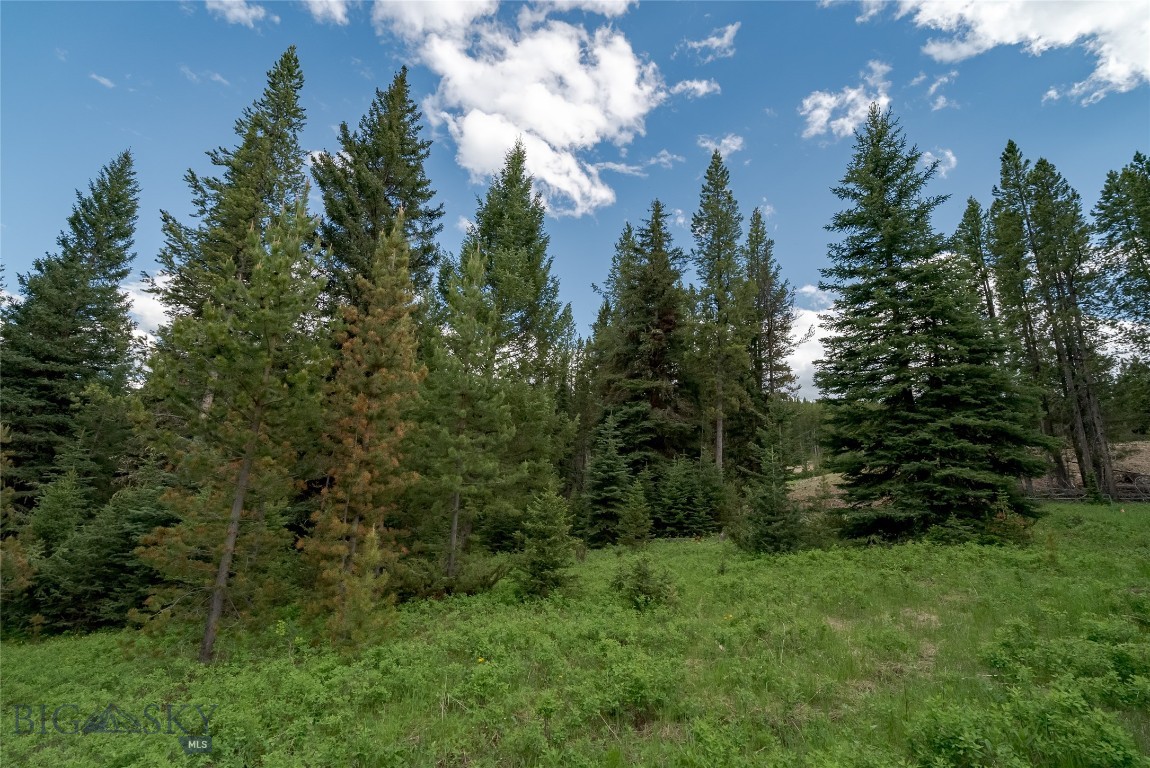 Blackfoot Hills - Land