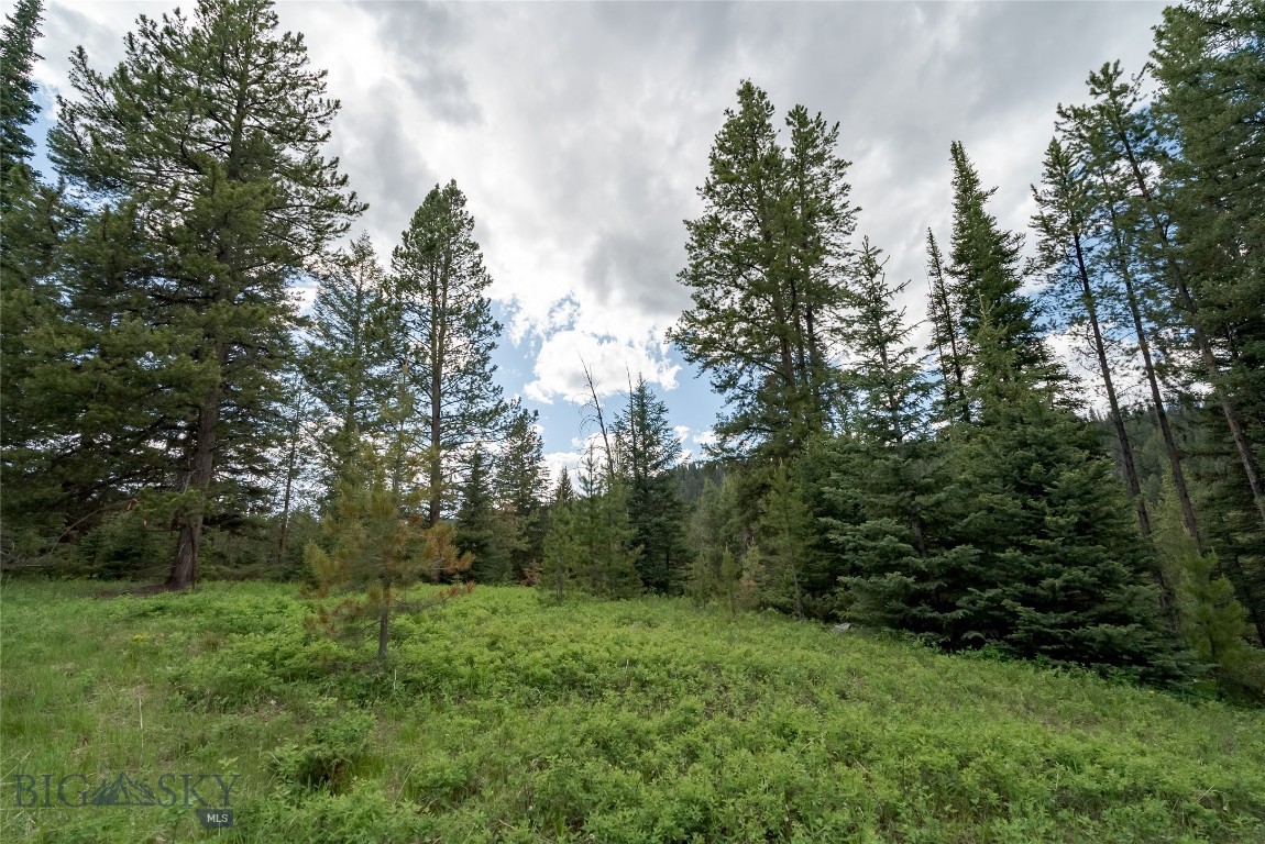 Blackfoot Hills - Land